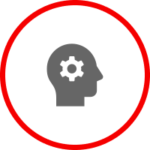 Component 29